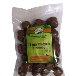 Berries chocolate premium 100 gr
