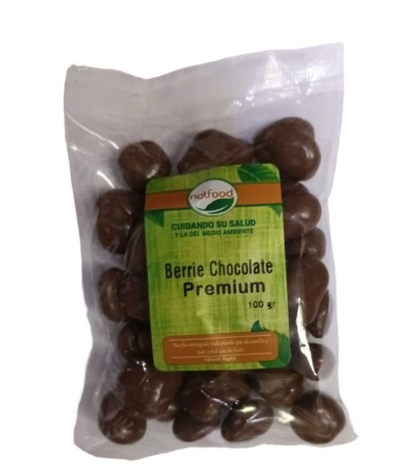 Berries chocolate premium 100 gr