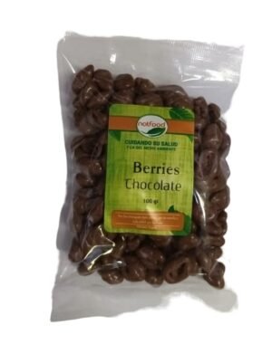 Berries Chocolate 100 gr